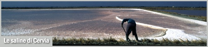 Le saline di Cervia