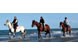 A cavallo nel mare d'autunno