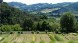 Cardello e Giardino delle Erbe di Casola Valsenio