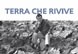 Terra che rivive