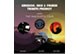 Emerson-Lake-Palmer-Tribute-Project-The-Inacoustic-tour