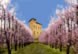 Festa di Primavera in Fiore
