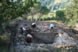 Open Day nuovi scavi archeologici del castello di Rontana