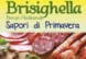 Sagra-dei-salumi-stagionati-di-mora-e-del-tartufo-marzolino