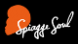 Spiagge-Soul-2014