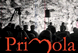 Associazione Primola di Cotignola