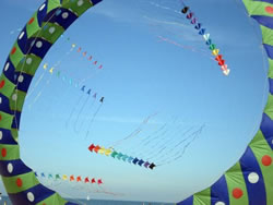22^ International SprintKite News