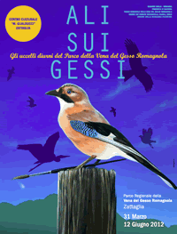 Ali sui Gessi