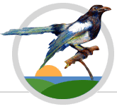 Argaza