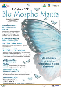 Blu Morpho Mania 2011