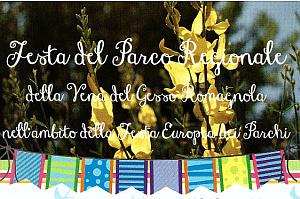 festa-riolo-parco