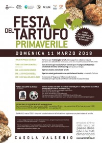 Locandina  della festa