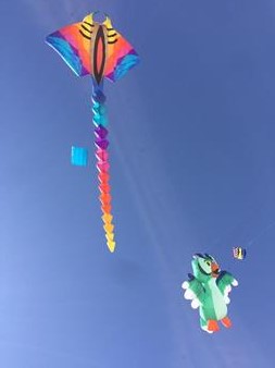 Festival Aquiloni Ed. 2018