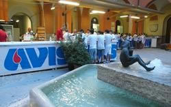 Festival dell'Avis