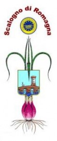 Fiera-dello-scalogno-di-Romagna-IGP_medium