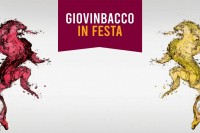 giovinbacco-2023