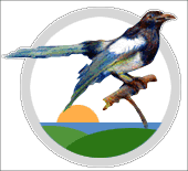 L'Argaza