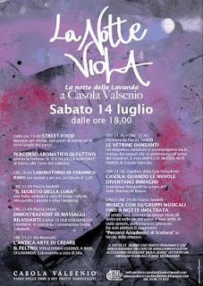 Notte Viola