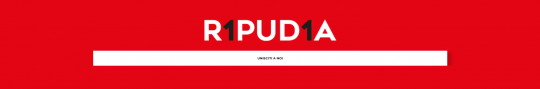 Banner R1PUD1A