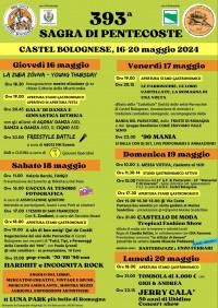 Locandina della festa