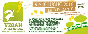 Festival vegan - Banner